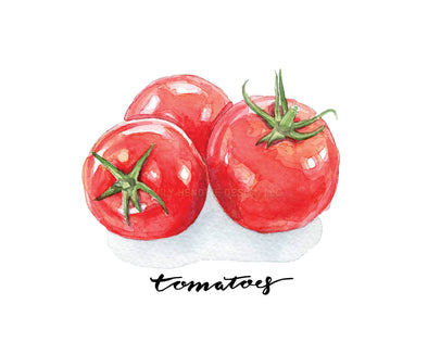 Tomato Watercolor Art Print