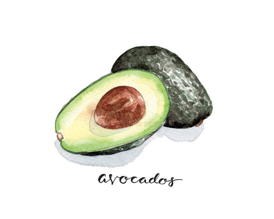 Avocado Watercolor Art Print