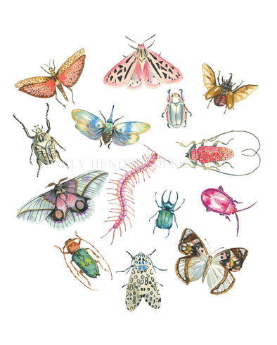 Bugs Watercolor Art Print