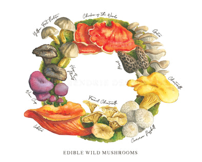 Edible Wild Mushroom Wreath Watercolor Art Print