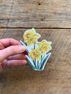 Daffodil Vinyl Sticker