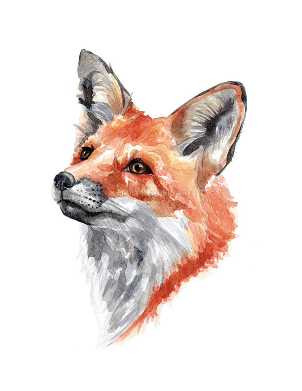 Fox Watercolor Art Print