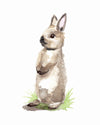 Curious Grey Rabbit Watercolor Art Print