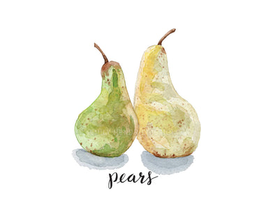 Pear Watercolor Art Print