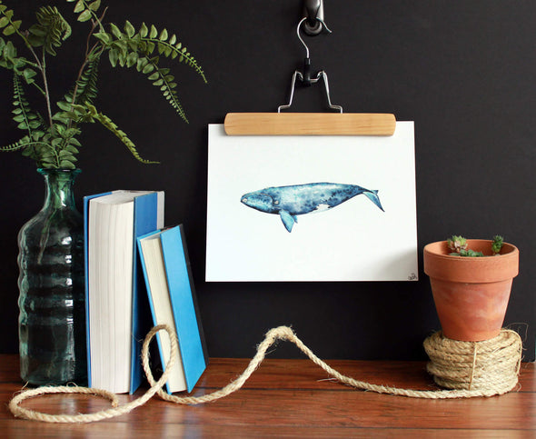 Right Whale Watercolor Art Print