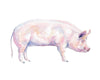 Pig Watercolor Art Print