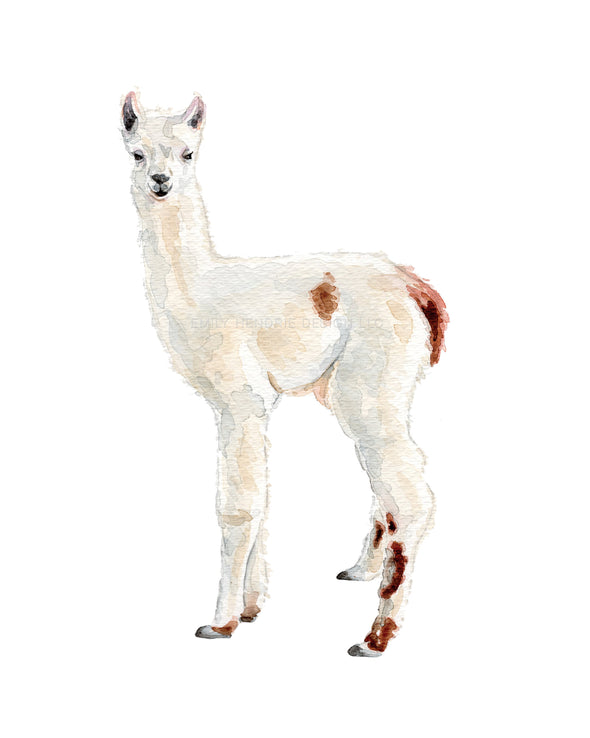 Llama Watercolor Art Print