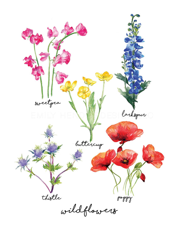 Wildflower Chart Watercolor Art Print