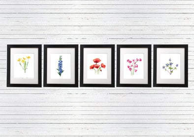 Wildflower Botanical Print Set