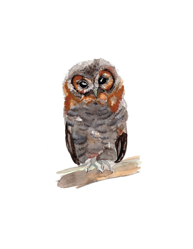 Baby Horned Owl Watercolor Art Print