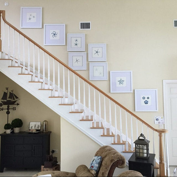 8 Starfish Watercolor Art Prints