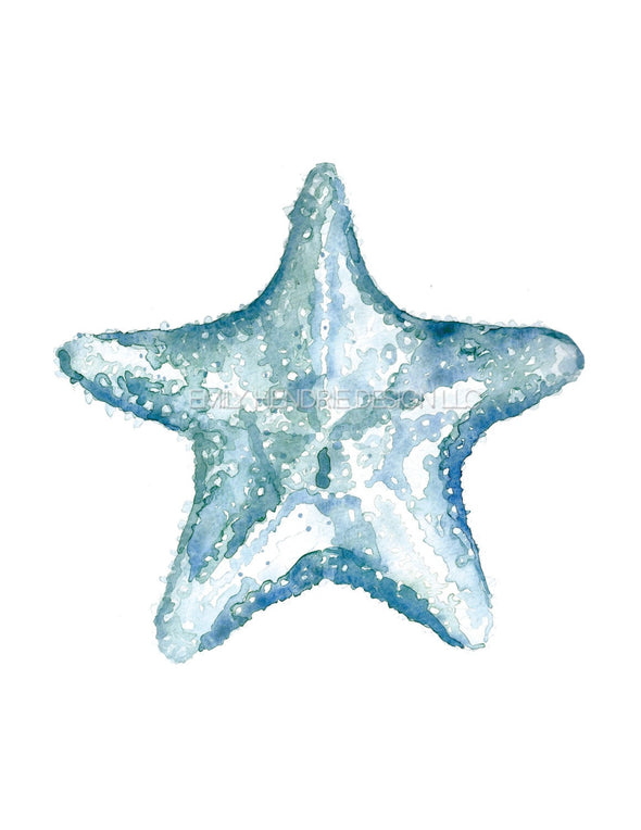 Cushion Starfish Watercolor Art Print