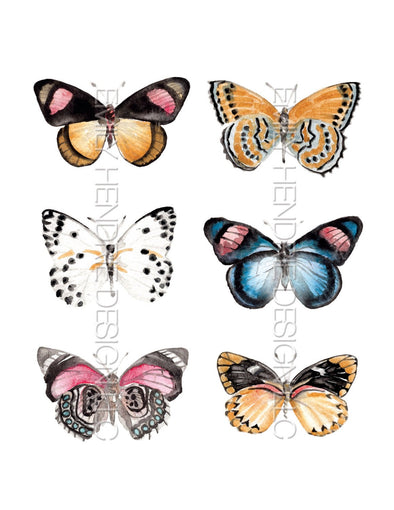 Butterfly Watercolor Art Print