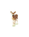Standing Deer Watercolor Art Print
