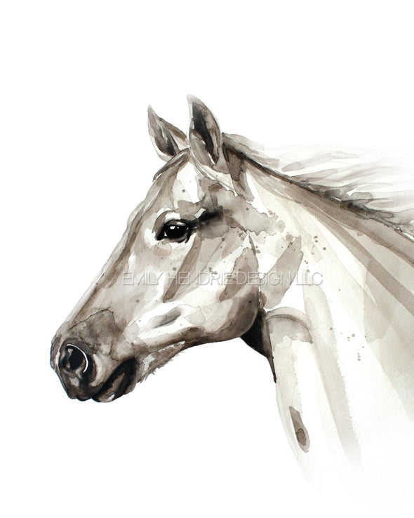Arabian Horse no.3 Watercolor Art Print