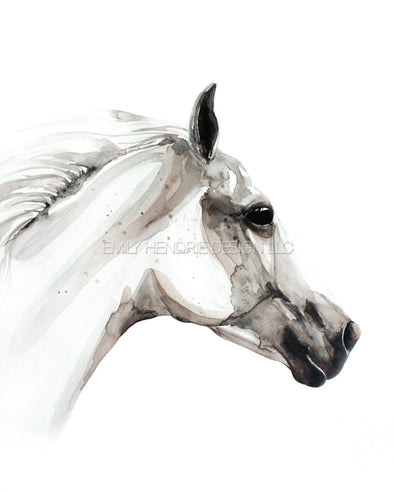 Arabian Horse no.1 Watercolor Art Print