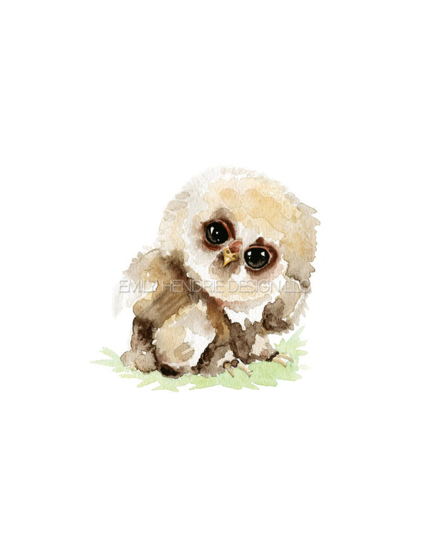 Baby Owl Watercolor Art Print