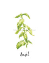 6 Herb Botanical Art Prints