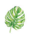 Split Leaf Philodendron Watercolor Art Print