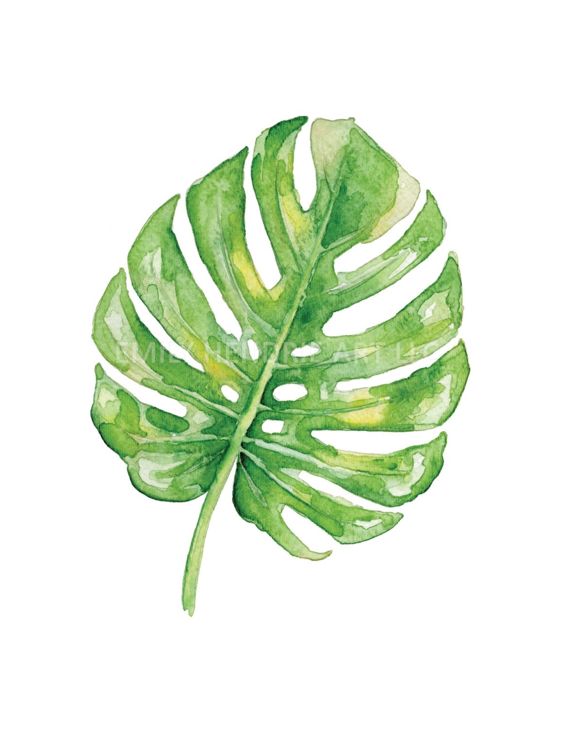 philodendron leaf outline Split Leaf Philodendron Watercolor Art Print – Meadowbrook Lane