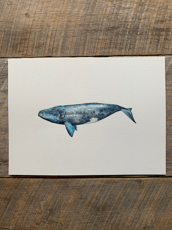 Original Right Whale Watercolor Art