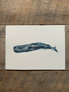 Original Sperm Whale Watercolor Art