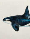 Original Killer Whale Watercolor Art