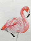 Original Flamingo on One Leg Watercolor Art